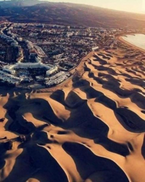 Sea and Dunes in The Sun
